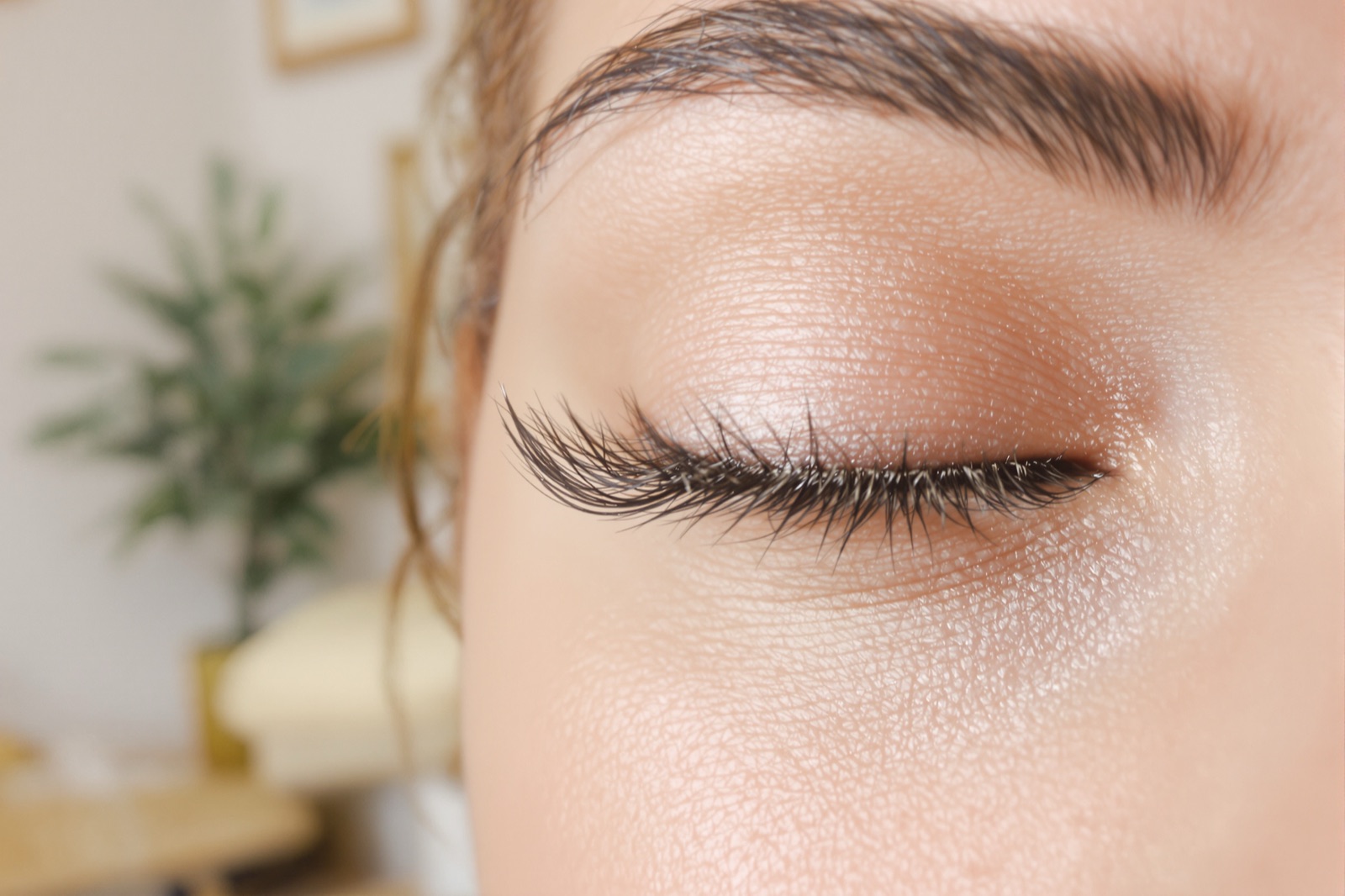 Close-up of a client's lashes, three weeks in